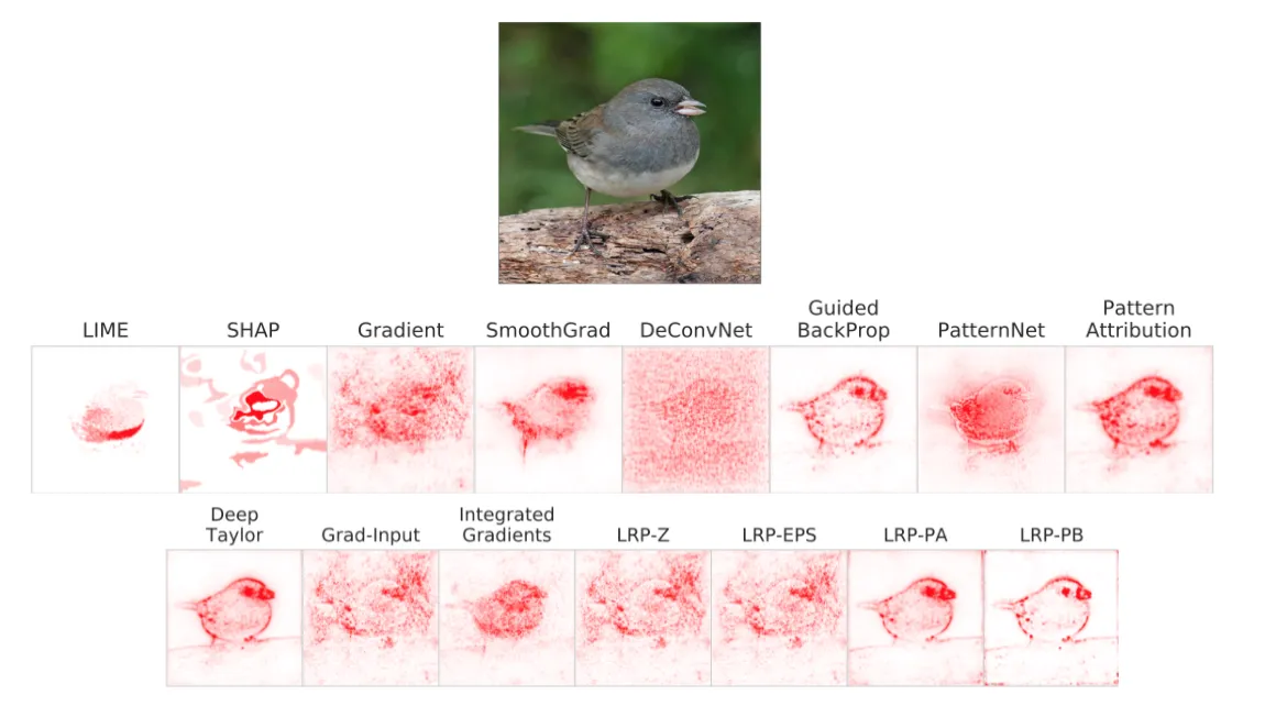 Fifteen saliency methods applied to a randomly initialized neural network